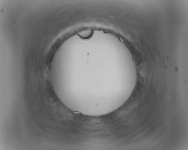 X0000079321495200612081921