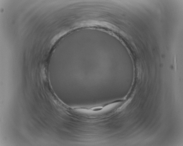 X0000079321497200612081921