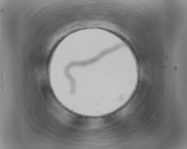 X0000079321498200612081921