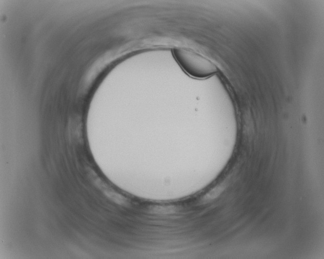 X0000079321499200612081921