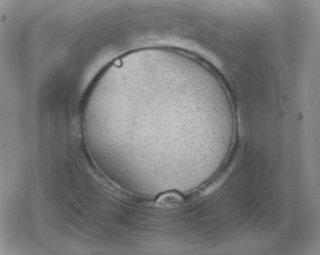 X0000079321501200612081921