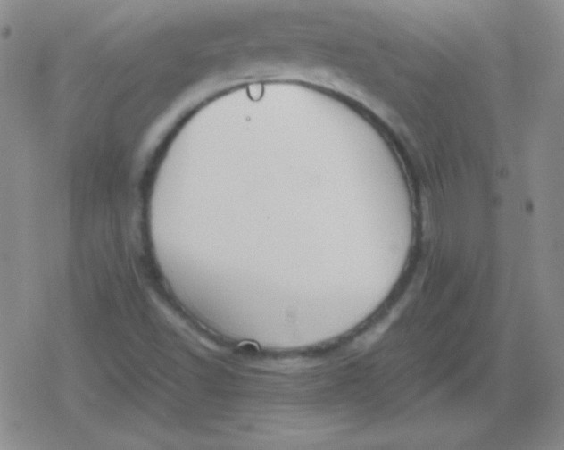 X0000079321502200612081921