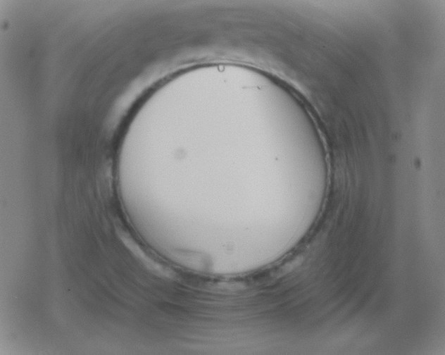 X0000079321503200612081921