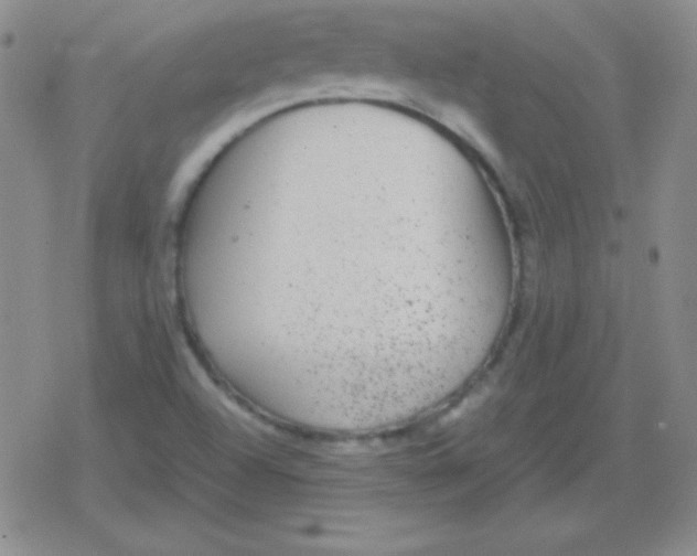 X0000079321504200612081921