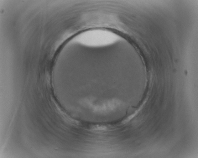 X0000079321505200612081921