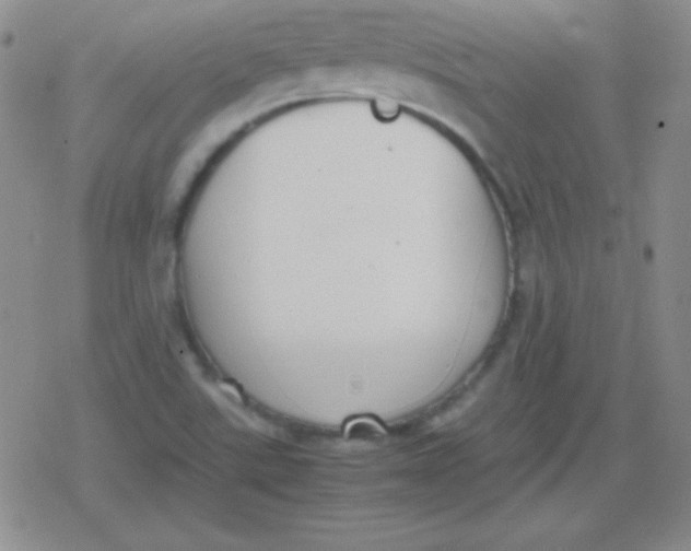 X0000079321507200612081921