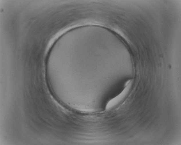 X0000079321508200612081921