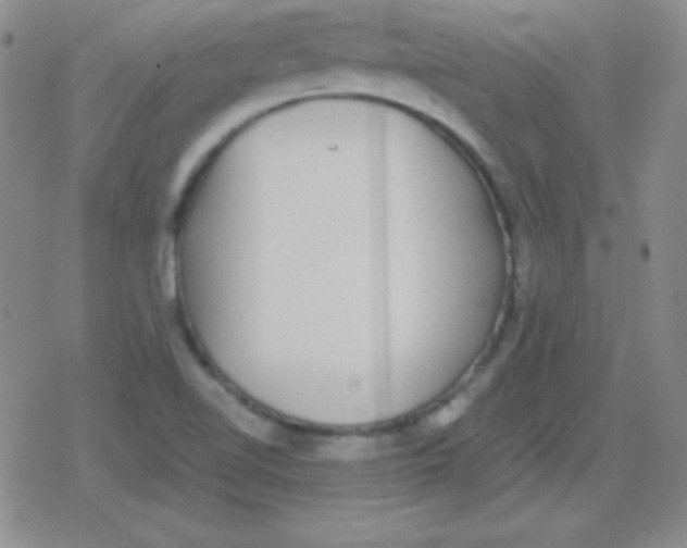 X0000079321510200612081921