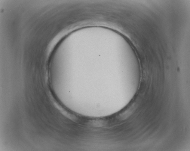 X0000079321511200612081921