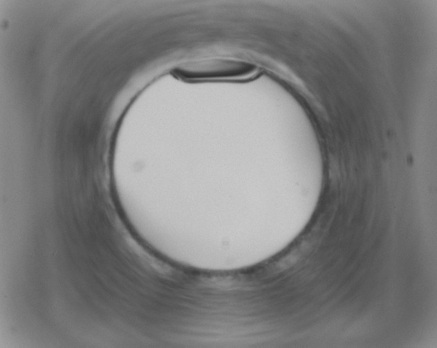 X0000079321512200612081921