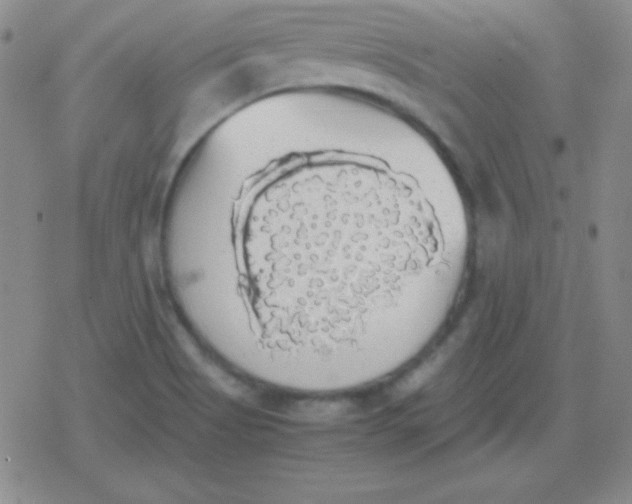 X0000079321513200612081921