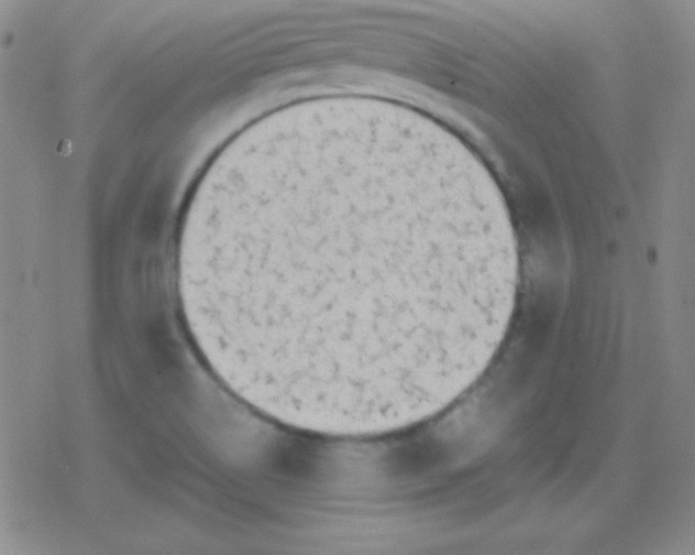 X0000079321514200612081921