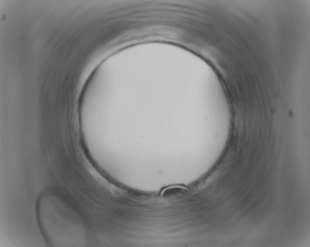 X0000079321516200612081921