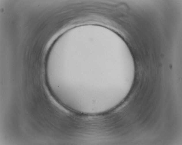 X0000079321518200612081921