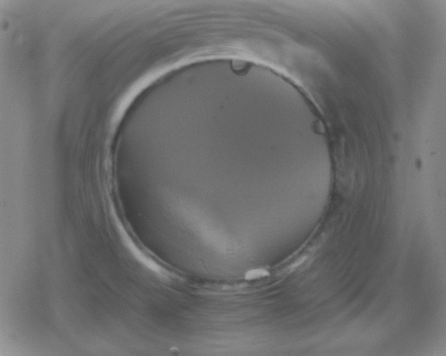 X0000079321519200612081921