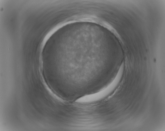 X0000079321520200612081921