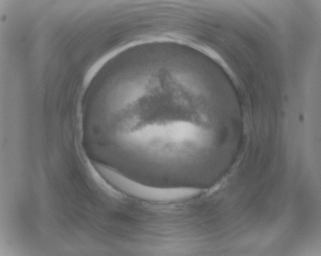 X0000079321524200612081921