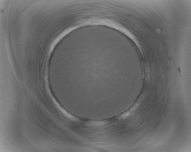 X0000079321525200612081921