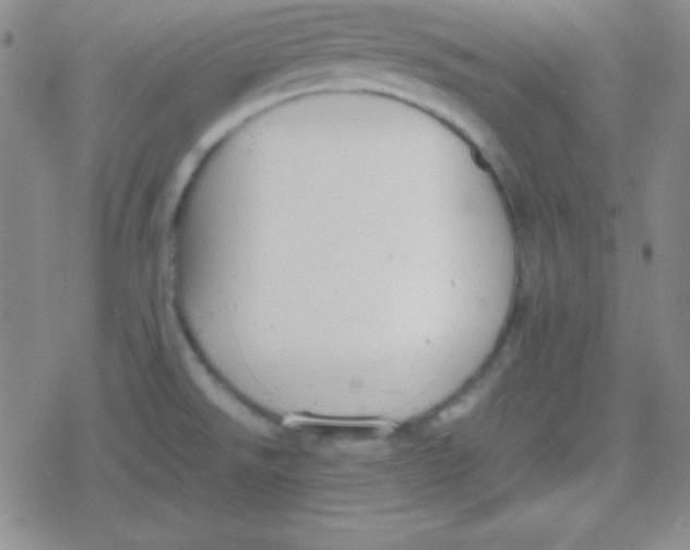 X0000079321526200612081921