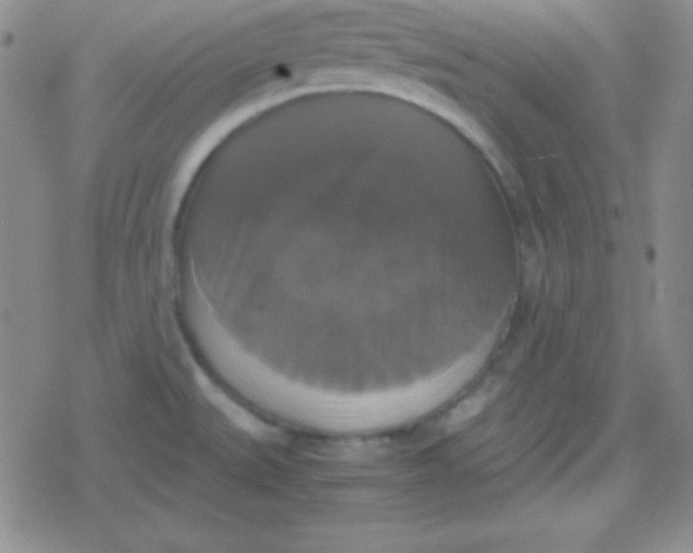 X0000079321527200612081921