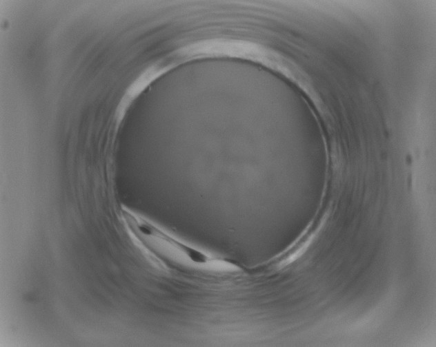 X0000079321529200612081921