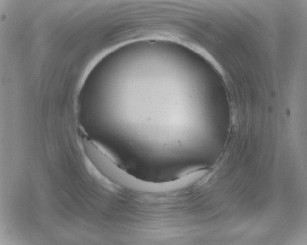 X0000079321532200612081921