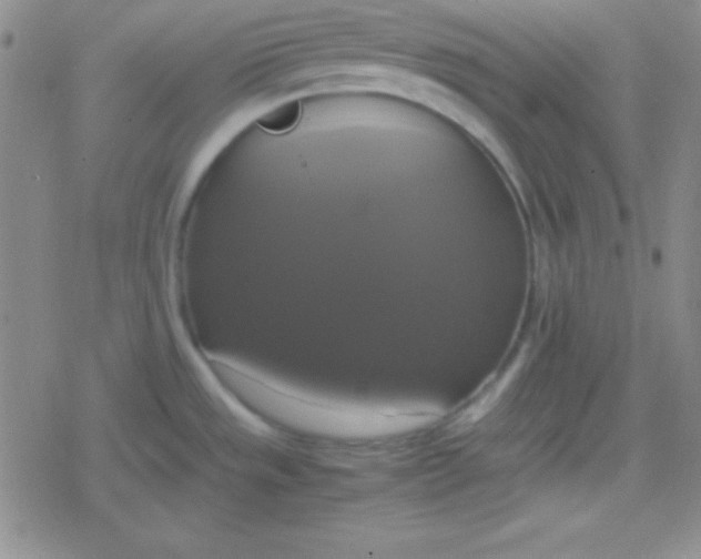 X0000079321533200612081921