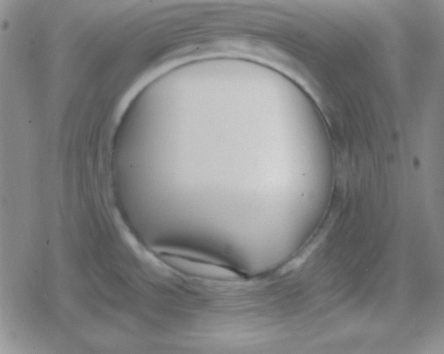 X0000079321534200612081921