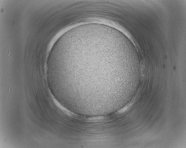 X0000079321535200612081921