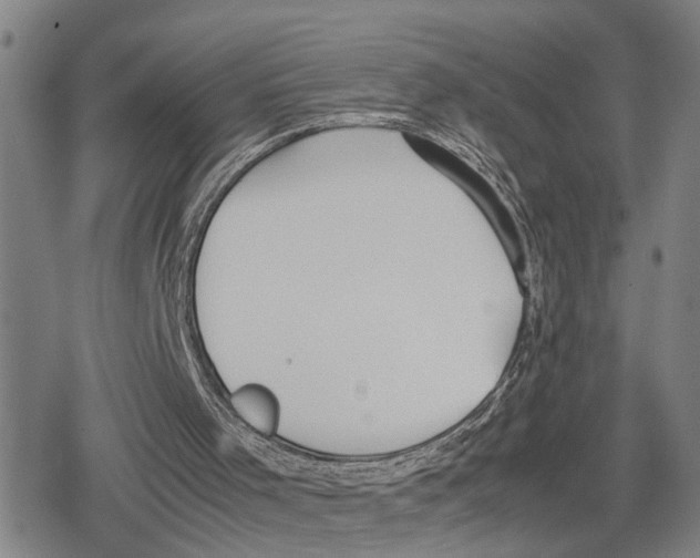 X0000079320001200612151829