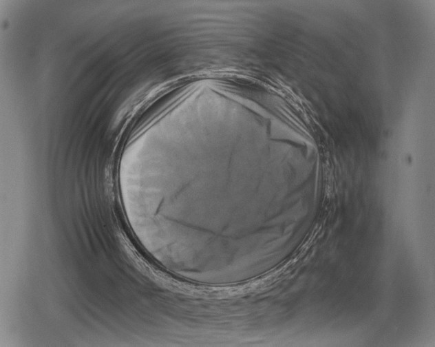 X0000079320002200612151829