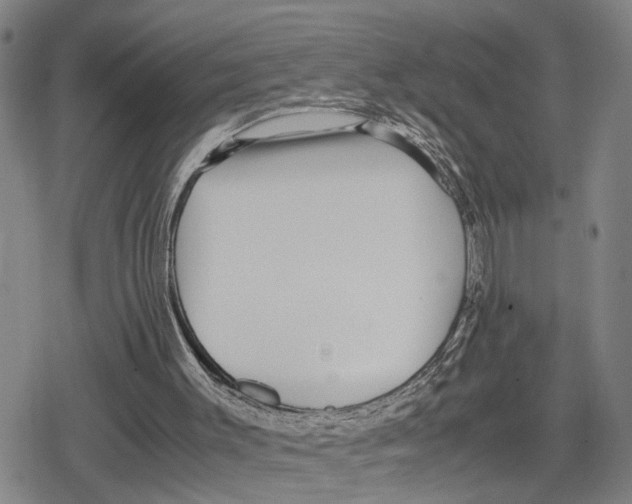 X0000079320003200612151829