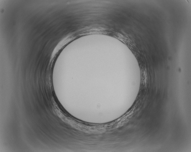 X0000079320004200612151829