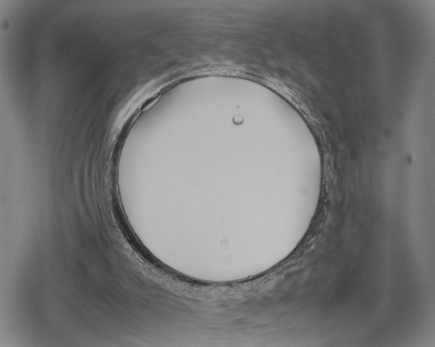 X0000079320007200612151829