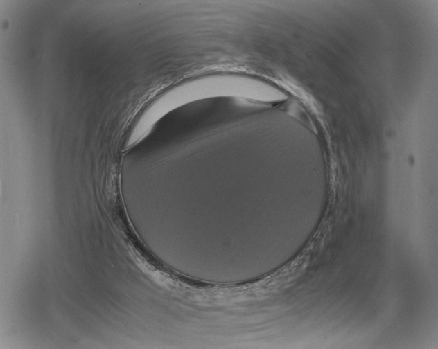 X0000079320009200612151829