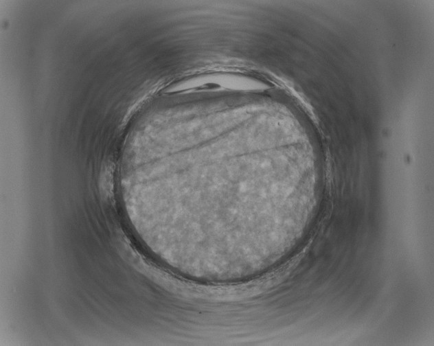 X0000079320010200612151829