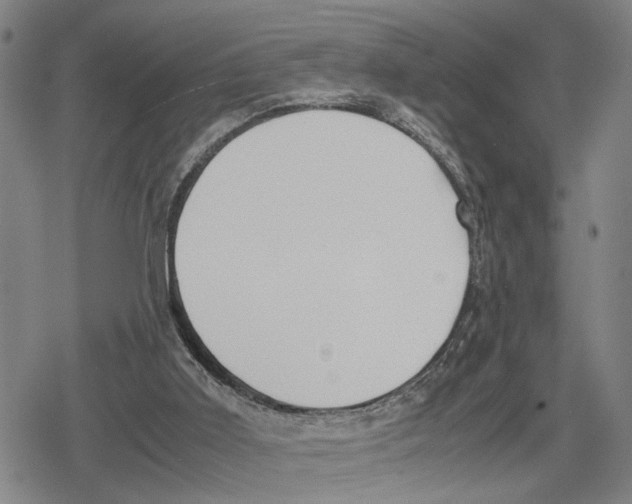 X0000079320011200612151829