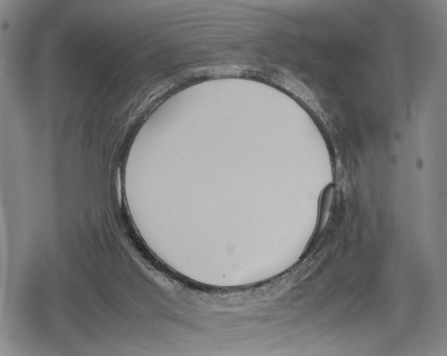 X0000079320013200612151829