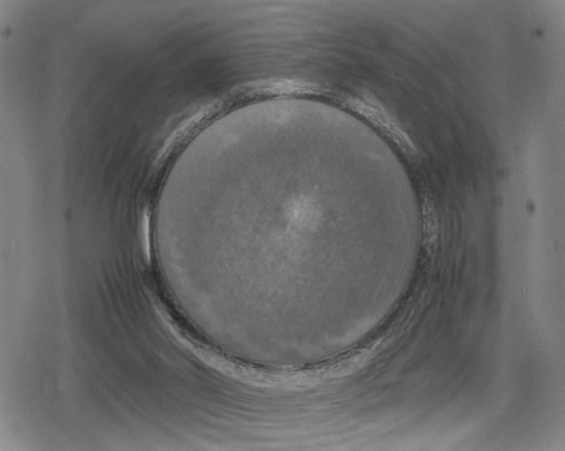 X0000079320014200612151829