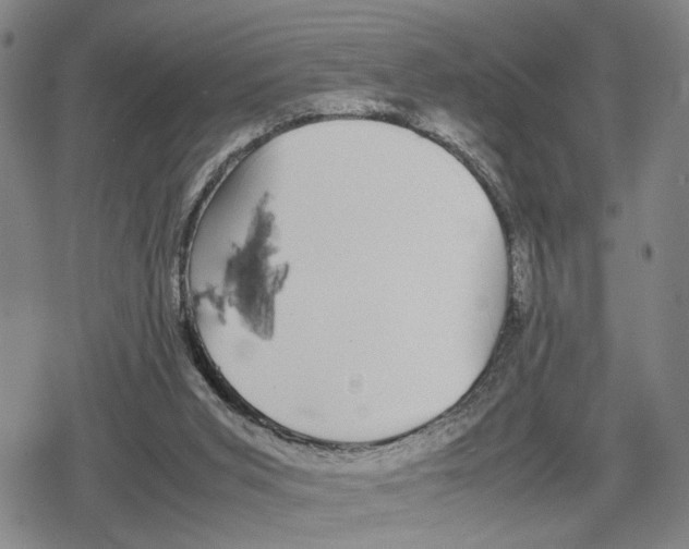 X0000079320015200612151829