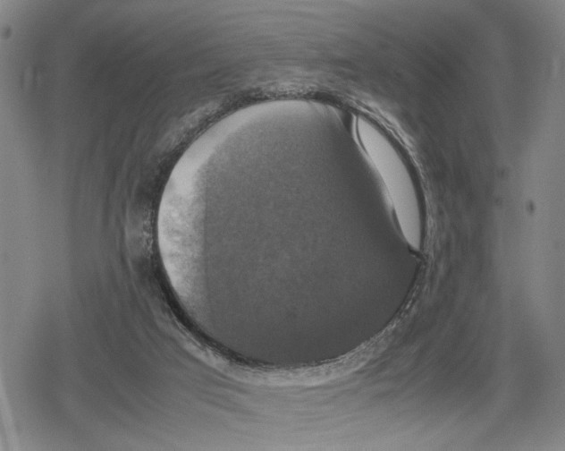 X0000079320017200612151828