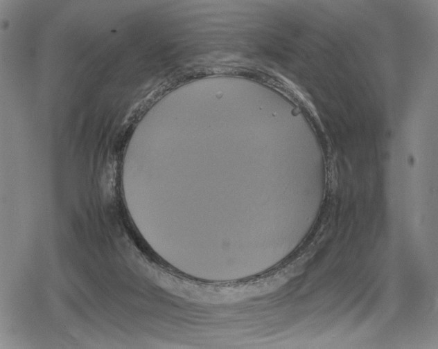 X0000079320018200612151828