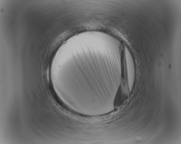 X0000079320019200612151828