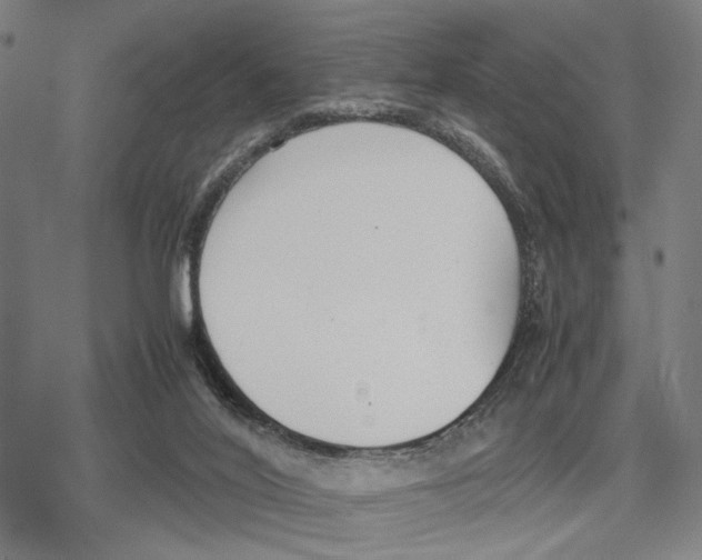 X0000079320020200612151828