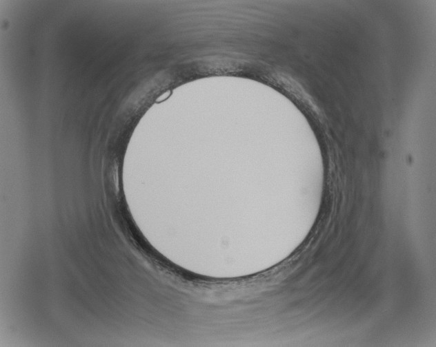 X0000079320021200612151828