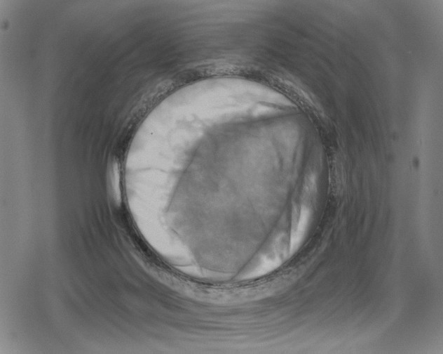 X0000079320022200612151828