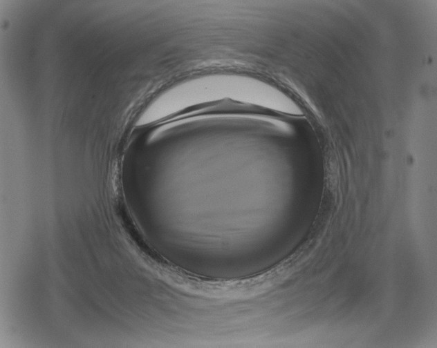 X0000079320023200612151828