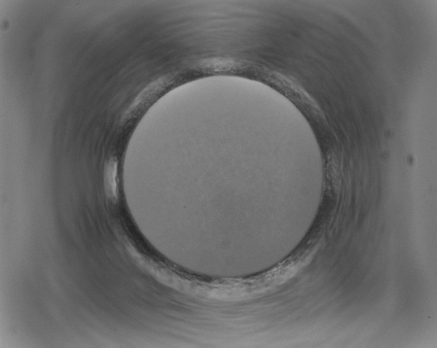 X0000079320024200612151828