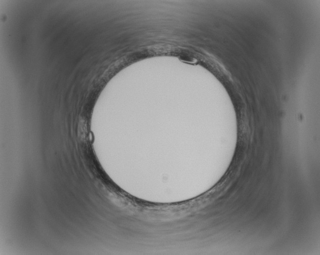 X0000079320025200612151828