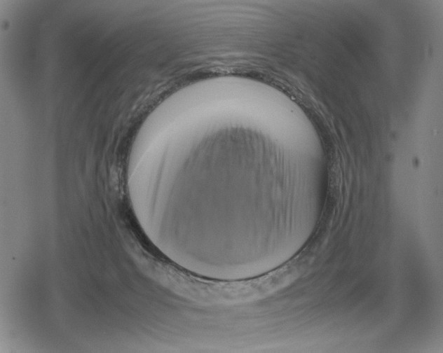 X0000079320031200612151828